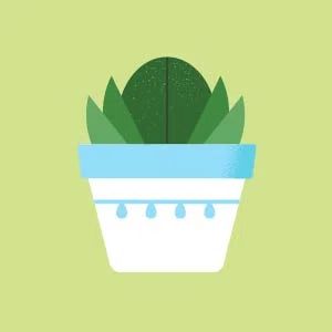 さいかいし
